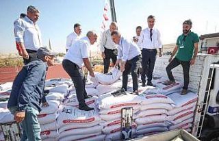 Sincan Belediyesi’nden buğday tohumu desteği