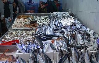 Sinop’ta balıkçı tezgahları şenlendi: 1,3 kiloluk...