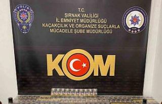 Şırnak’ta kaçakçılık, narkotik ve asayiş...