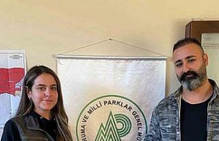 Şırnak’ta yaralı halde bulunan atmaca tedavi...