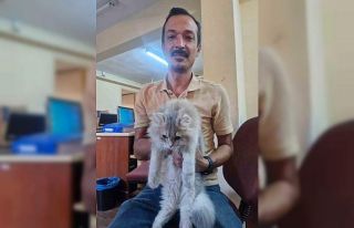 Söke İlçe Tarım ve Orman Müdürlüğü’nden...