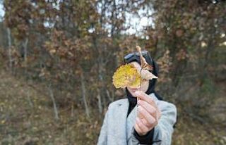 Sonbaharın güzelliği Erzincan’ın görkemli dağlarıyla...
