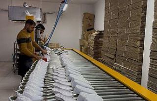 Tatvan’da üretilen ayakkabılar Balkan ülkelerine...