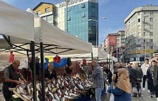 Tezgahların en pahalı balığı mezgit oldu