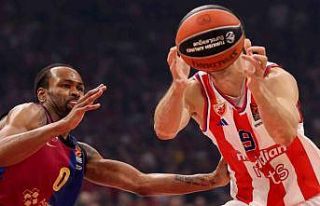 THY Euroleague’de 4. haftanın ardından