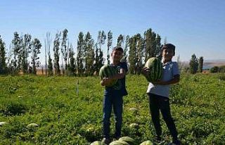 Toprak: "Kırşehir’de her ilçe ayrı ayrı...