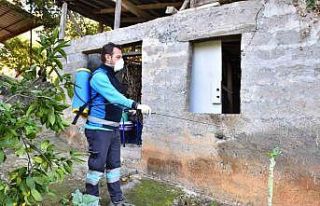 Trabzon’da kokarcaya geçit yok: “2 bin 60 noktada,...