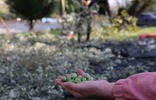 Turgutlu Belediyesi örnek uygulamasına devam ediyor