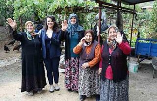 Türkel: “Tarıma desteğimiz artarak devam edecek”