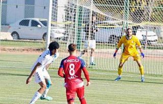 Türkiye 3. Lig 4. Grup: Niğde Belediyespor: 2 -...