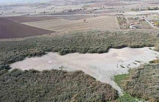 Türkiye’nin en önemli kuş cennetleri arasında...