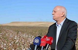 TZOB Başkanı Bayraktar: “Pamuğa gümrük vergisi...