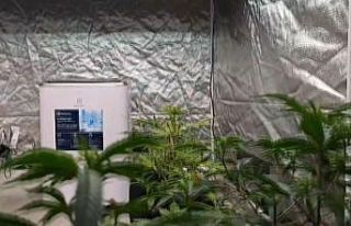 Uygulamada uyuşturucu, işyerinde uyuşturucu çadırı...