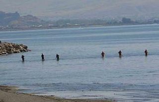 Vali Balcı: “Rojin’i arama çalışmalarımız...