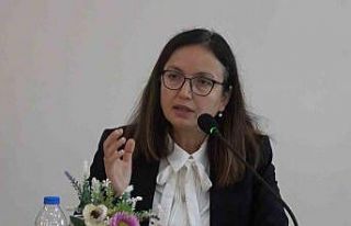 Vali Kaya, “Hastane yolu en kısa zamanda yapılacak”