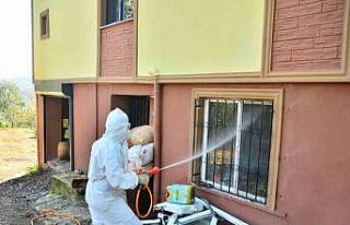 Vatandaşlar kokarcayla mücadele başlattı, 550...