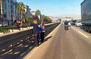 Viyadükteki intihar girişimini zabıta önledi