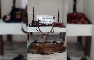 Vurdukları geyikten sucuk yapmışlar: Gözaltına...