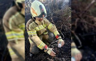 Yangın sonrası yaşam mücadelesi veren kaplumbağayı,...