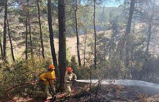Yatağan’daki orman yangını büyümeden söndürüldü
