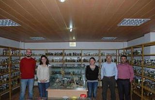 Yeni bir bakteri türü bulundu