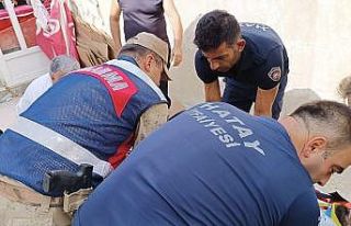 Yere çakılan yamaç paraşütçüsü yaralandı