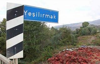 Yeşilırmak Nehri’nin kıyısına çuvallar dolusu...