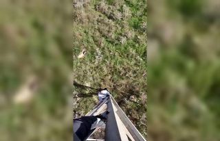 Yüksek gerilim hattına tırmandılar, tehlikeli...