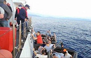 Yunanlılar, göçmen kaçakçıları ile birlikle...