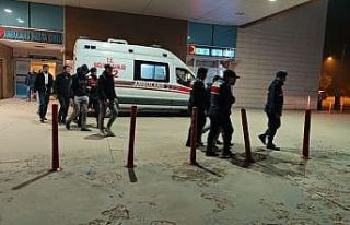 11 kaçak göçmen jandarmadan kaçamadı