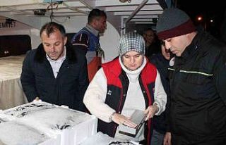 14 günde bin 120 ton hamsi sevk edildi