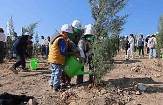 15 Ağustos’taki büyük yangının ardından İzmir’de...