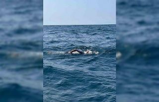 59 yaşındaki Türk, ultra maraton yüzücüsü olarak...