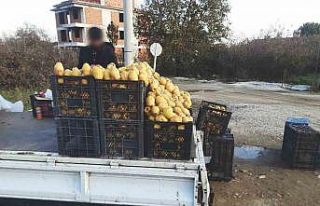 6 Seyyar satıcıya 5 bin 862 TL para cezası