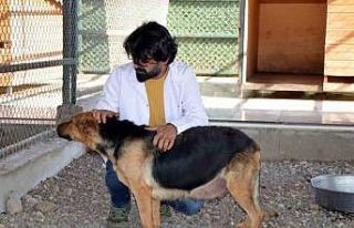 7 ayda 5 bin 202 ihbara müdahale edildi