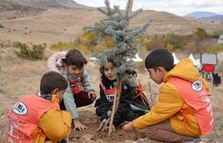 "81 İlde 81 Orman" projesinde Erzincan’da...