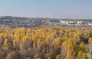 8 bin yıllık Hevsel Bahçeleri’nde renk cümbüşü...