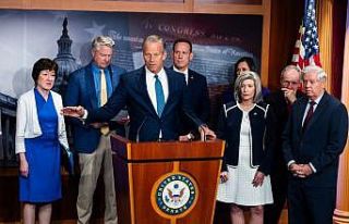 ABD Senatosu Çoğunluk Lideri John Thune oldu