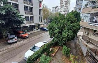 Adana’da bir hafta boyunca yağışlı