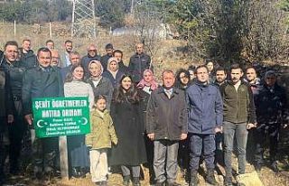 Adana’da kayanın altında kalarak hayatını kaybeden...