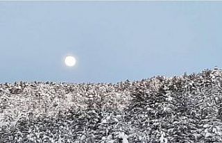 Adana’nın Feke ilçesi beyaza büründü