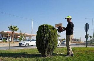 Adıyaman Belediyesi’nden kente estetik dokunuş