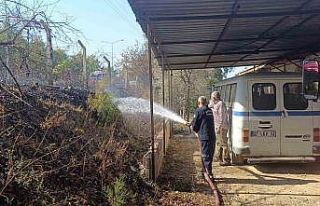 Ağaç ve çalılık yangınında kirpi telef oldu,...