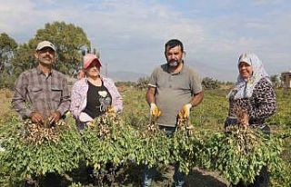 Ali Fakıoğlu: "Günde 1000 TL’ye işçi bulamıyoruz"