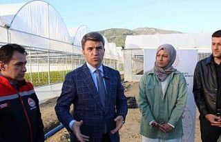 Amasya Valisi Bakan, Yeşilırmak kıyısına dökülen...