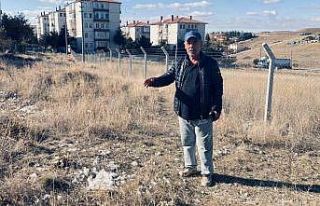 Ankara’da başıboş köpekler 35 tavuğu telef...