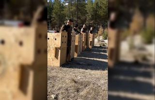 Antalya’da 8 dişi alageyik yeni yaşam alanlarına...