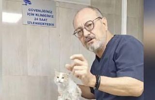 Araba çarptı sandı, tüfekle vurulduğunu öğrendi