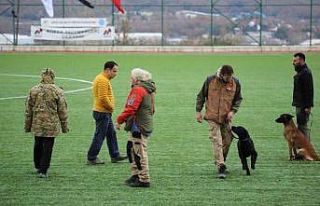 Arama kurtarma köpekleri hakem semineri Çekmeköy’de...