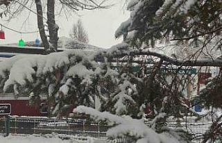 Ardahan’da karla gelen kartpostallık görüntüler